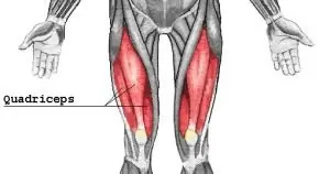 Exercícios para membros inferiores mais eficientes