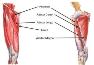 Exercícios para membros inferiores mais eficientes
