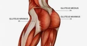 Exercícios para membros inferiores mais eficientes