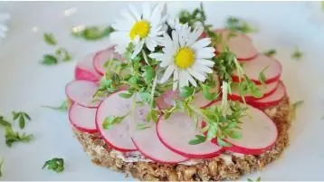 hamburguer de quinoa com rabanete e decoração