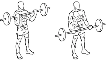 Os exercícios para membros superiores mais eficientes