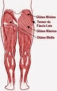 Exercícios para membros inferiores mais eficientes