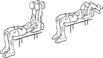 Os exercícios para membros superiores mais eficientes