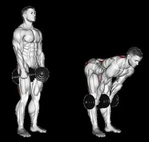 Exercícios para membros inferiores mais eficientes