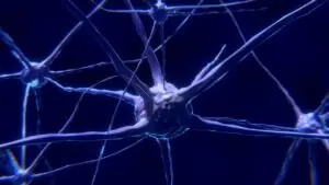 Exercício físico e saúde mental
