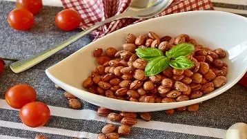 Os feijões são uma boa fonte de proteína vegetal