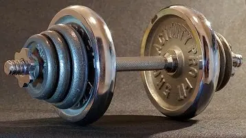 Ganhar massa muscular ou Definir?