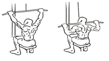 Os exercícios para membros superiores mais eficientes