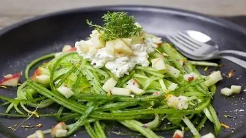 Dieta low-carb vegetariana