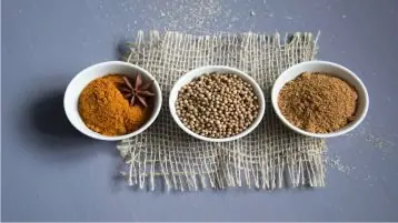 Receitas de temperos naturais