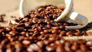 foto graos de café