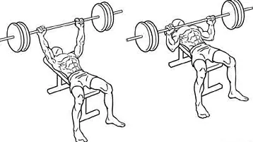 Os exercícios para membros superiores mais eficientes