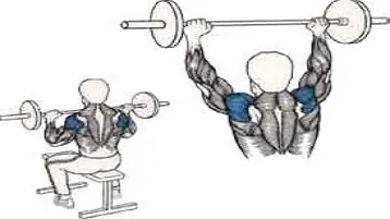 Os exercícios para membros superiores mais eficientes