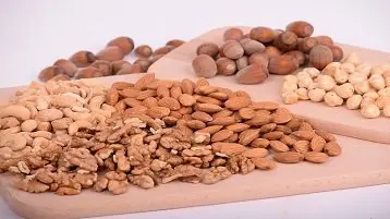 Sementes oleaginosas são fonte de zinco