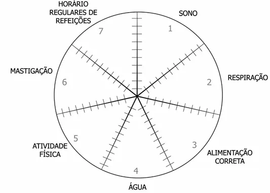 Roda dos Hábitos: mudando a composição corporal