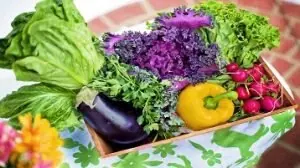 Alimentação e treino estão caminhando juntos?