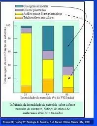 O exercício só faz efeito depois de 30 minutos?