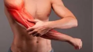 Musculatura do braço direito de um homem forte