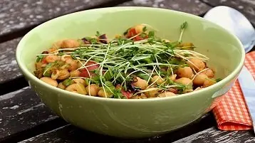 Planejamento na dieta vegetariana para o consumo de proteínas