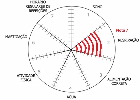 Roda dos Hábitos: mudando a composição corporal