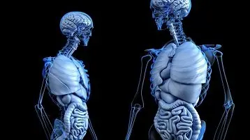 O que acontece no corpo ao correr em jejum?